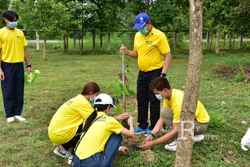 20210526-Tree planting dayt-141.JPG